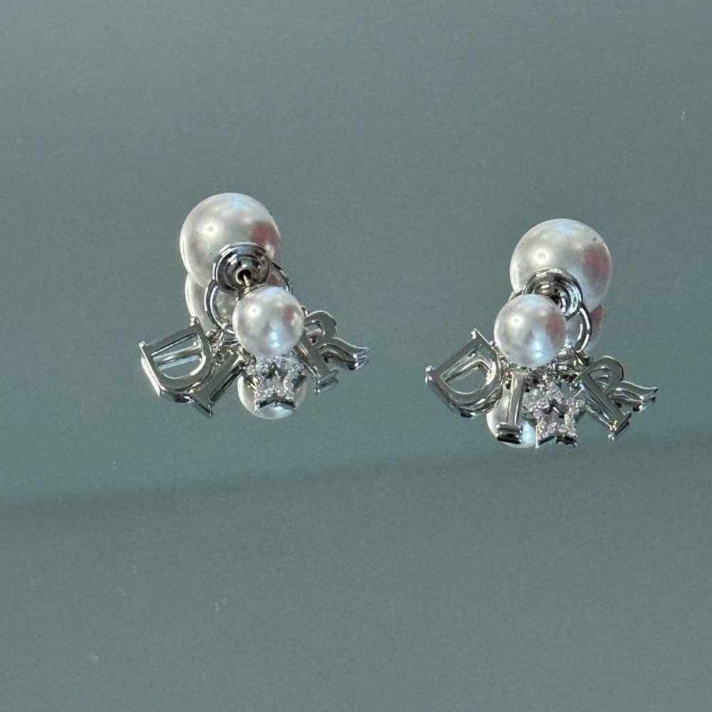 Luxury Fashion Earrings